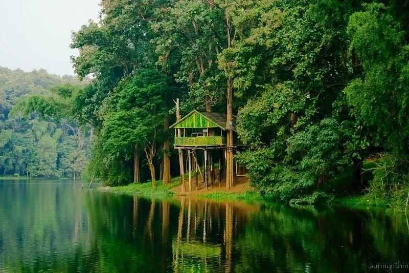Parambikulam Tiger Reserve